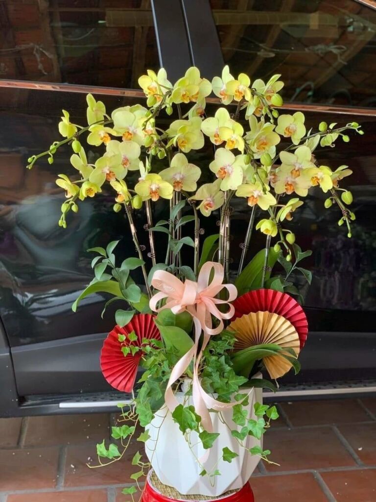 Đội Ngũ Giao Hàng Chuyên Nghiệp