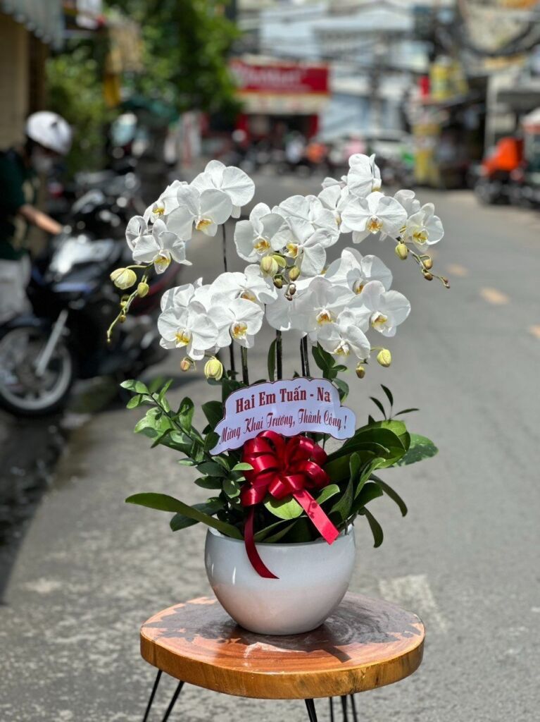 Trải nghiệm mua sắm đáng nhớ