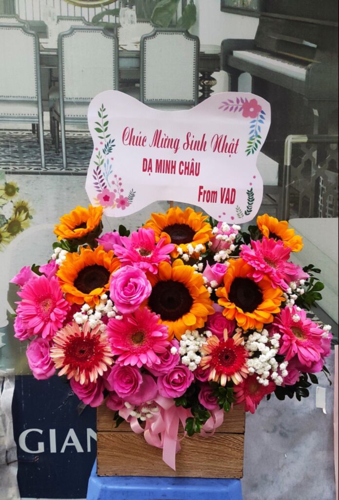 Sáng Tạo và Chất Lượng