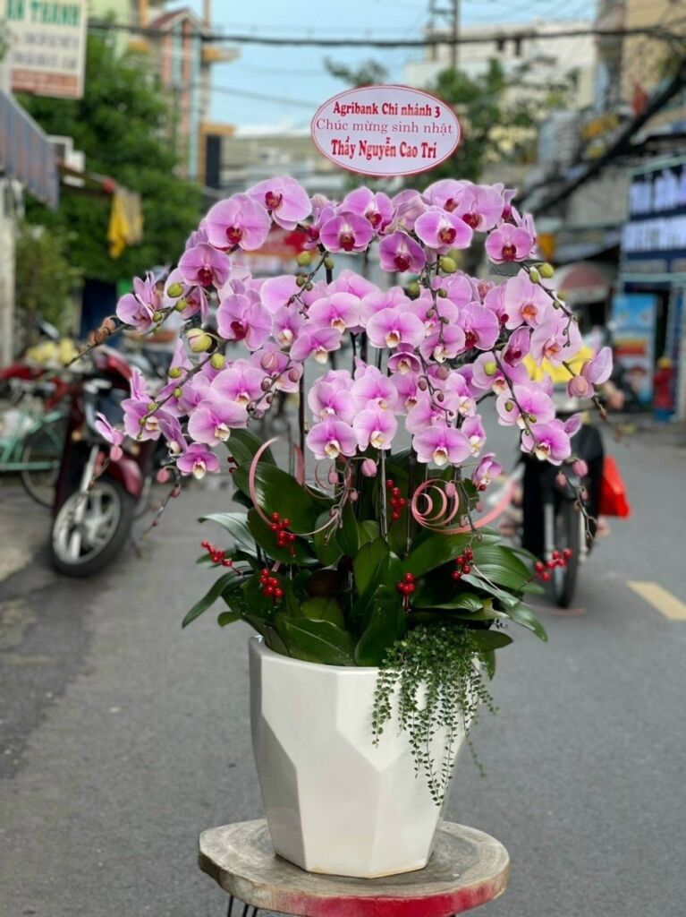 Đội Ngũ Nhân Viên Chuyên Nghiệp và Tận Tâm