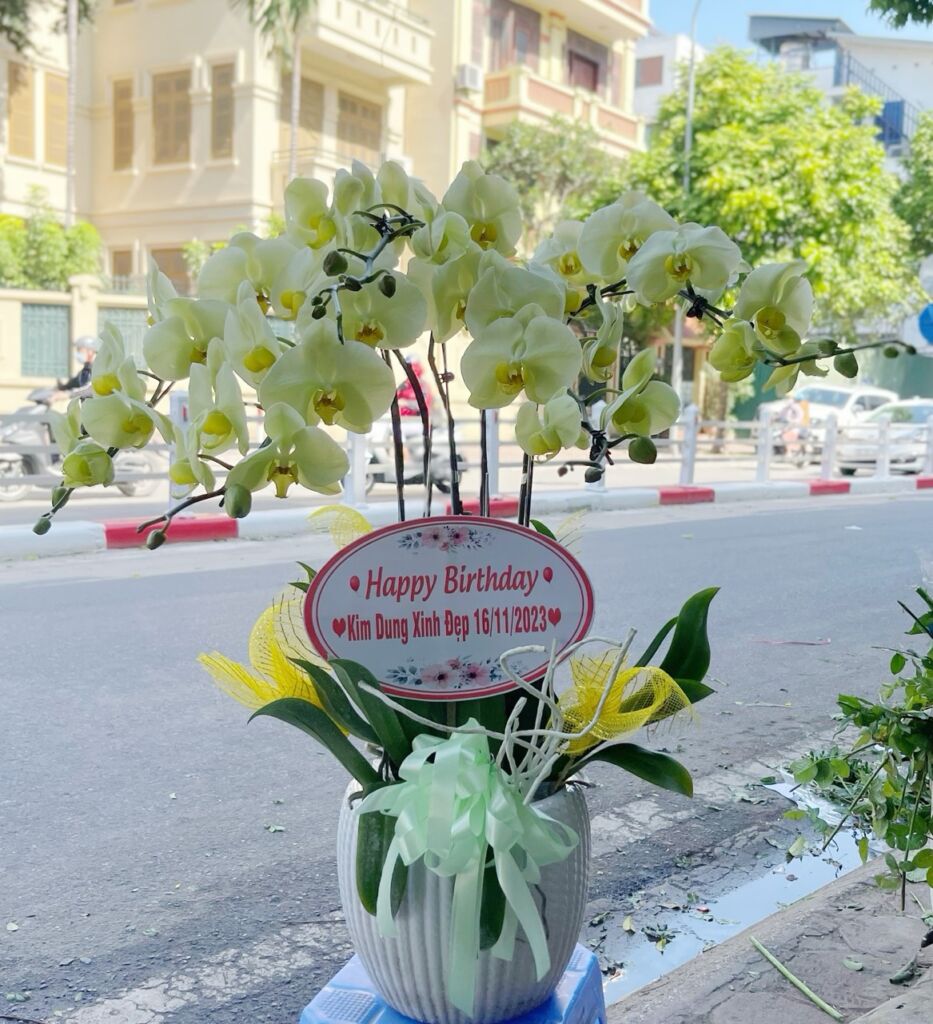 Giao Hàng Nhanh Chóng và Đảm Bảo