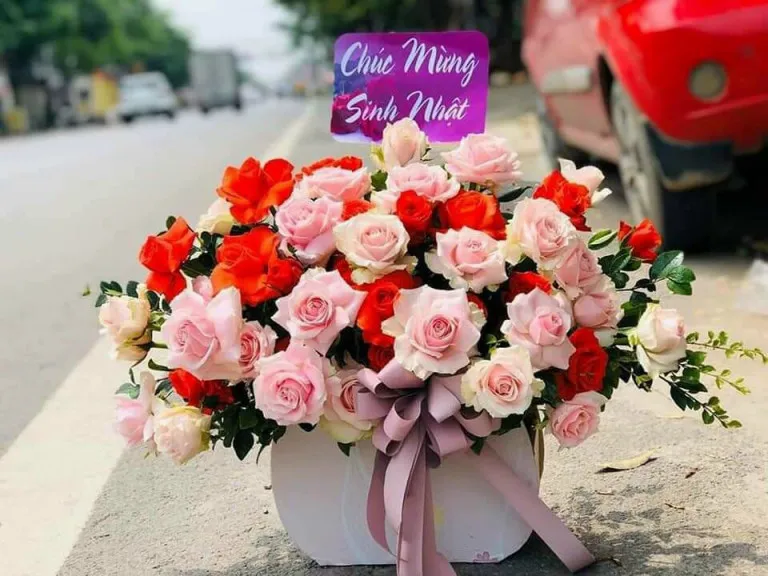 Phục Vụ Nhanh Chóng và Chuyên Nghiệp