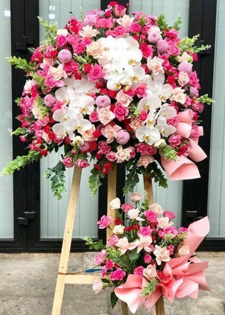 Tận Hưởng Sắc Màu Cuộc Sống