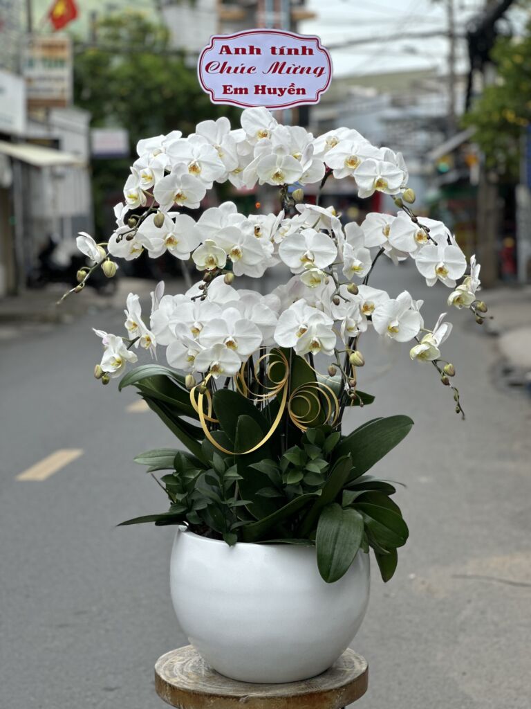Dịch Vụ Chuyên Nghiệp, Giá Tốt Và Giao Hàng Nhanh