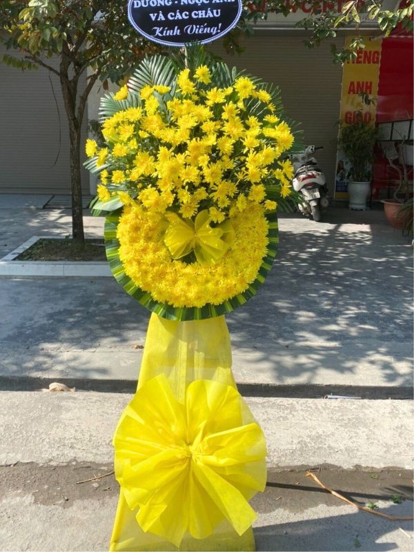 Tư Vấn Nhiệt Tình, Chuyên Nghiệp