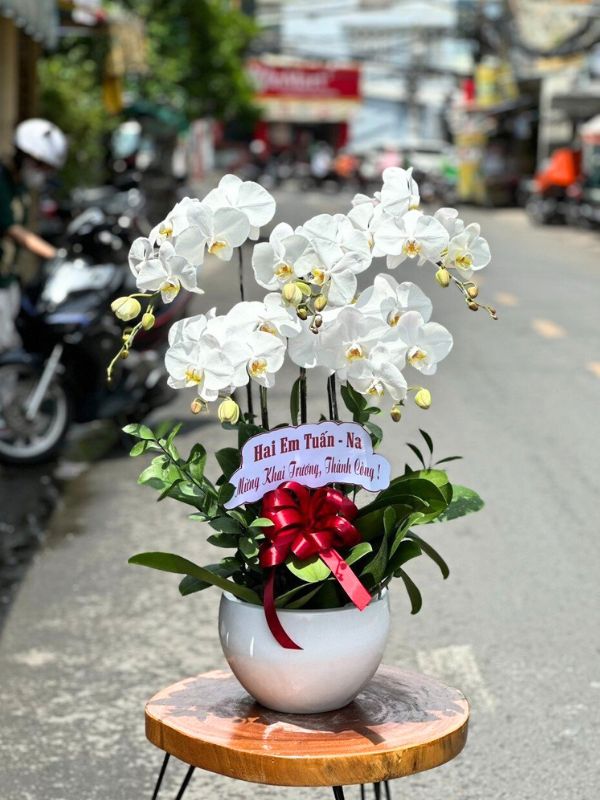 Dịch Vụ Giao Hàng Miễn Phí